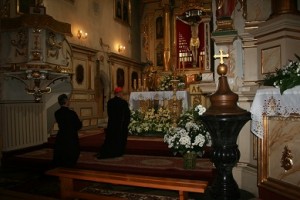 IMG_1242